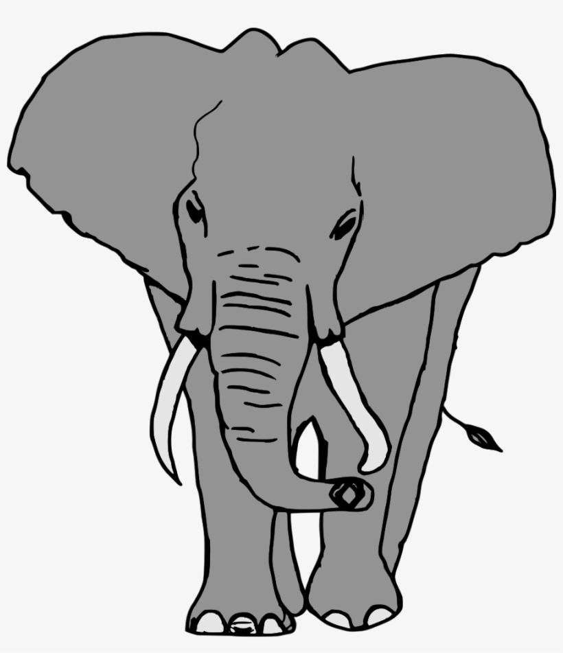 Elefante - Gajah Vektor, transparent png download