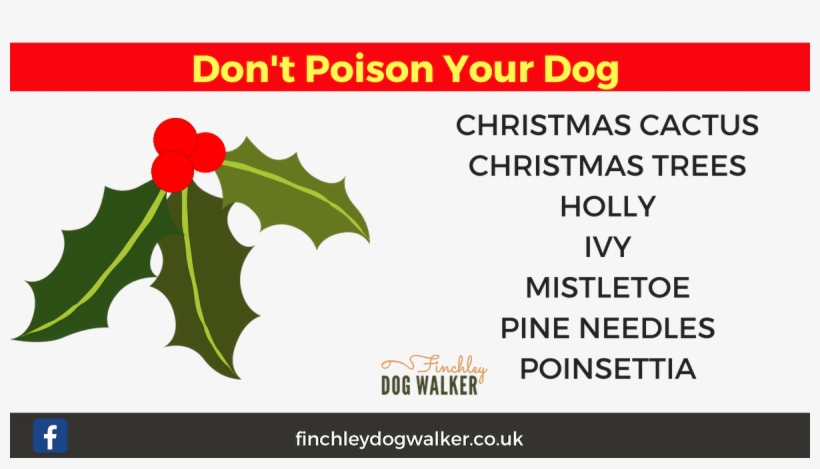 Looking At Christmas From A Dog's Perspective, There - Cirque Du Soleil Totem, transparent png download