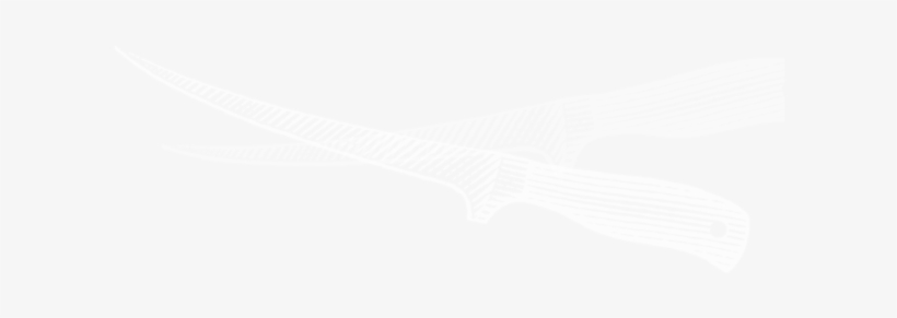Catch Of The Day Our Fish Range - Johns Hopkins Logo White, transparent png download