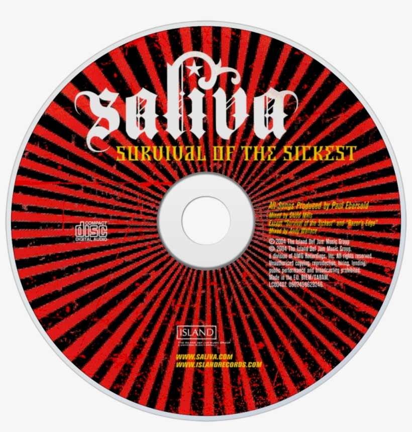 Saliva Survival Of The Sickest Cd Disc Image - Color Wheel, transparent png download