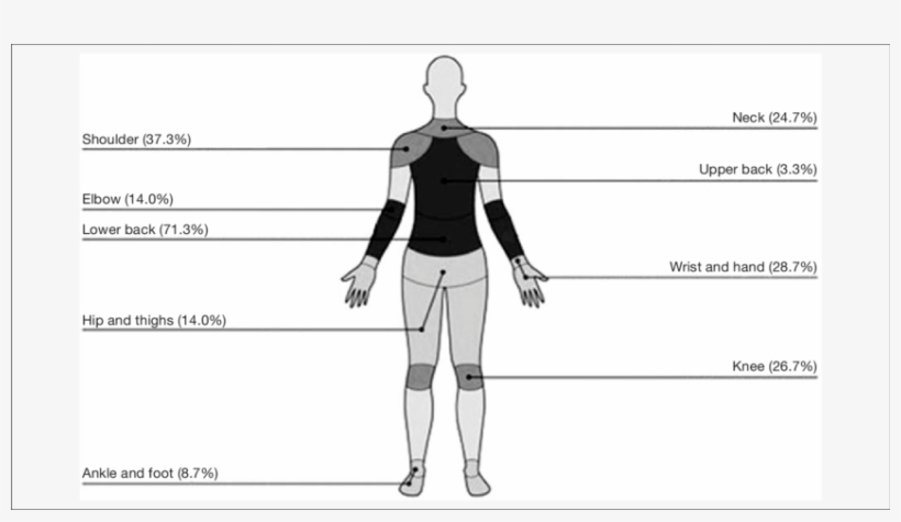 Prevalence Of Musculoskeletal Pain Reported To By Farmers - Illustration, transparent png download