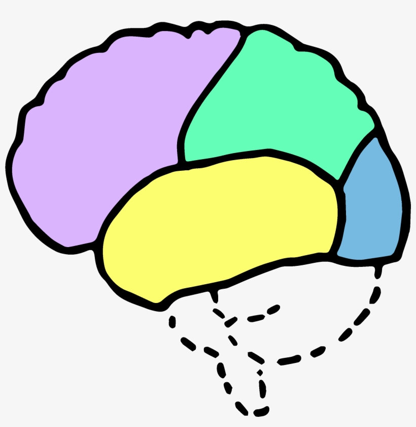 Psychology Brain Clipart Images
