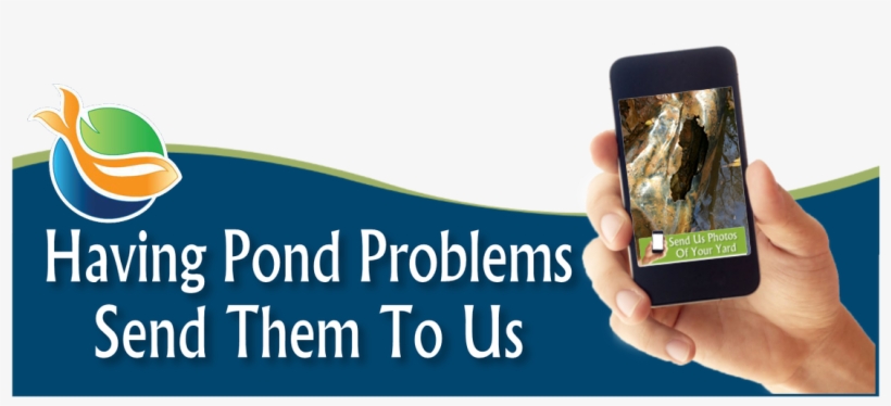 Picture - Smartphone, transparent png download