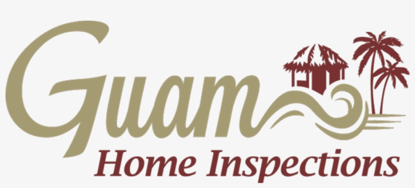 Palm Tree, transparent png download