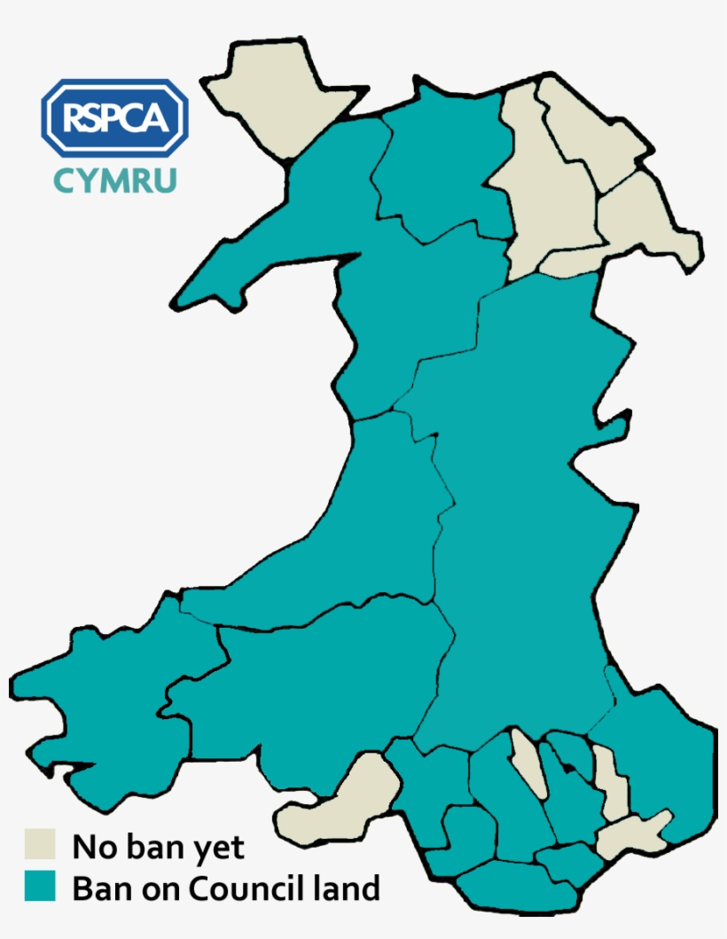 Mar 150824 Lanterns Wales - Welsh Is A Dying Language, transparent png download