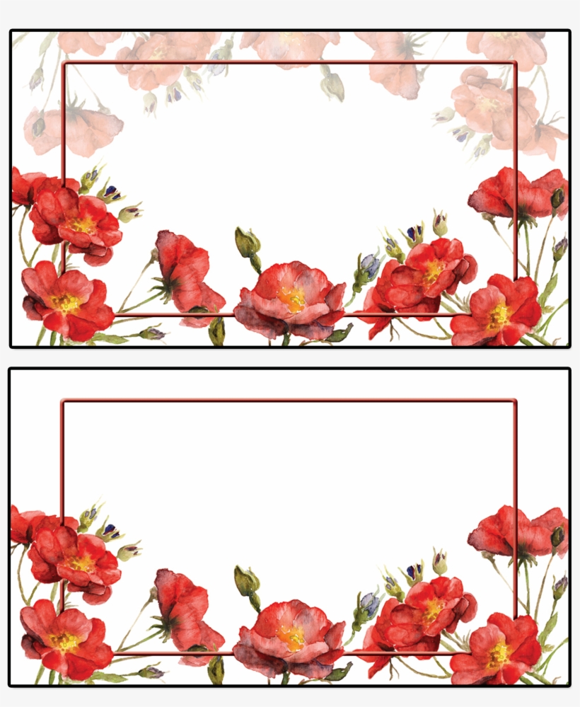 Watercolor Drawing Of A Branch Of A Rose - Hybrid Tea Rose, transparent png download