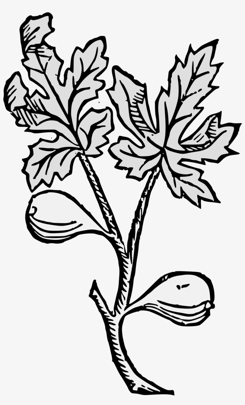 Details, Png - Line Art, transparent png download