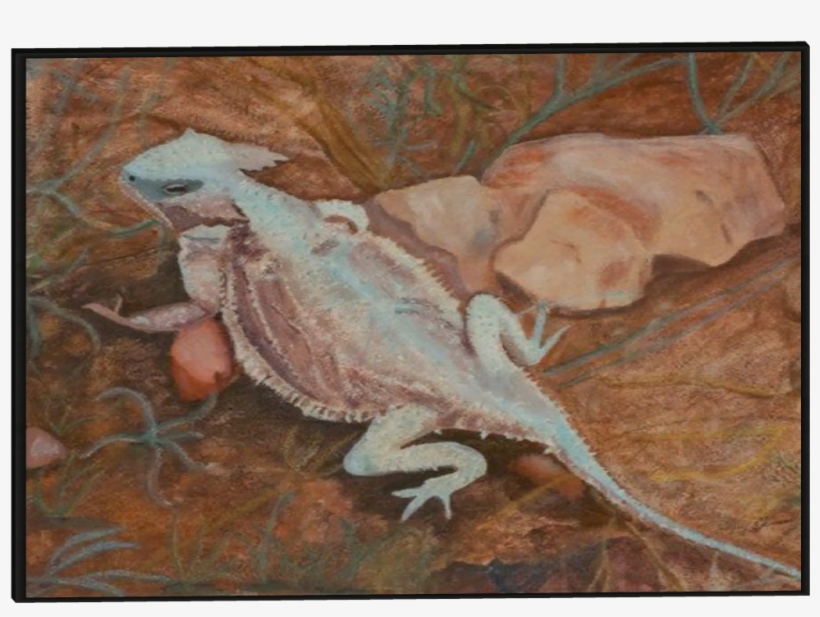 Large Zoo Mural 7 - Watercolor Painting Of Desert Animals, transparent png download