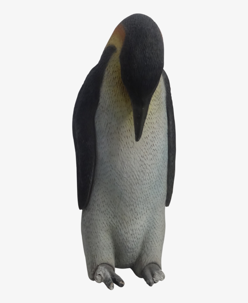 Emperor Penguin, transparent png download