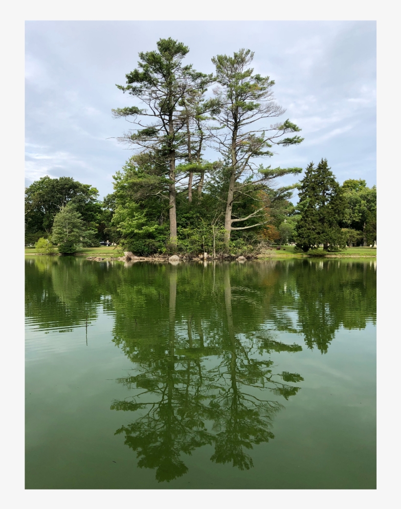 Background Sticker - Reflection, transparent png download