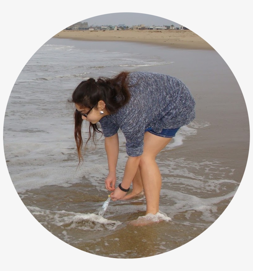 The Program Allows High School Students To Volunteer - Girl, transparent png download