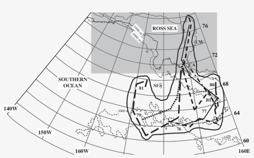 Tracks Of The Juvenile Emperor Penguins Released From - Line Art, transparent png download