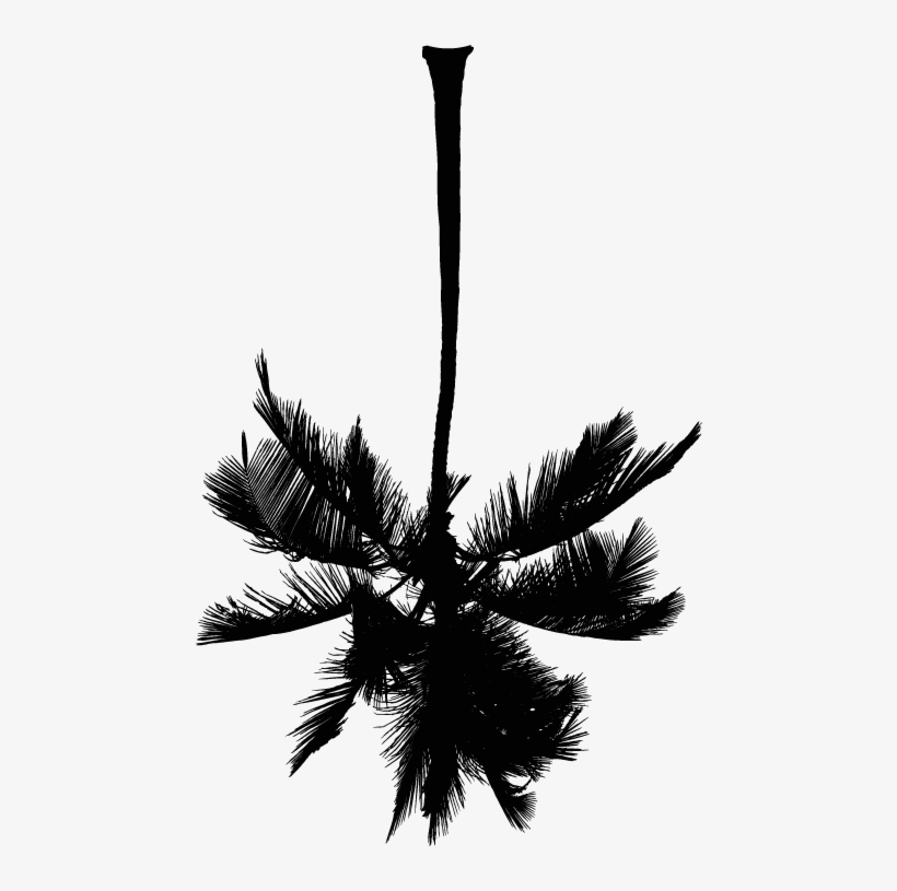 White Palm Tree Png, transparent png download