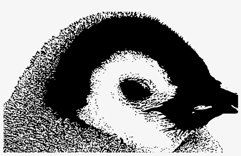 Emperor Penguin Chick By Struthious Bandersnatch - Illustration, transparent png download