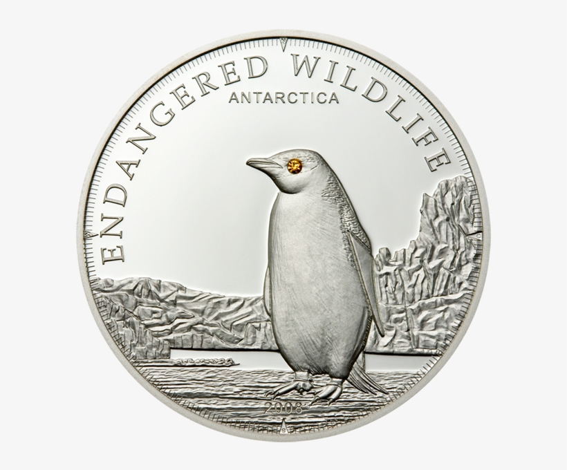 Emperor Penguin, Cit Coin Invest Trust Ag / B - Jmj English Medium School Athani, transparent png download