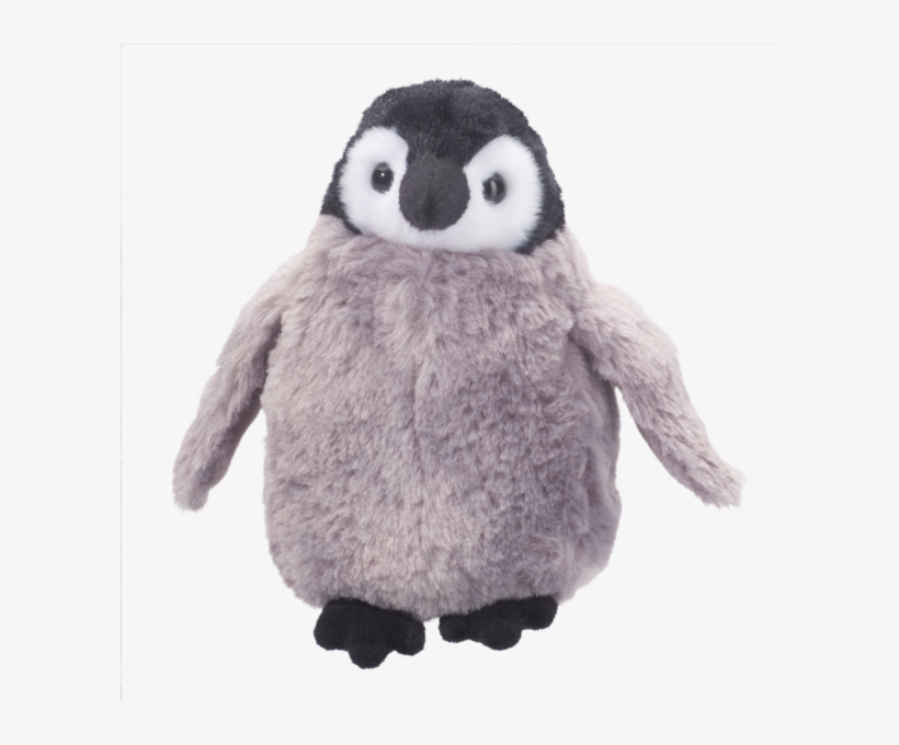Douglas Cuddles Penguin Chick - Emperor Penguin Chick Plush, transparent png download