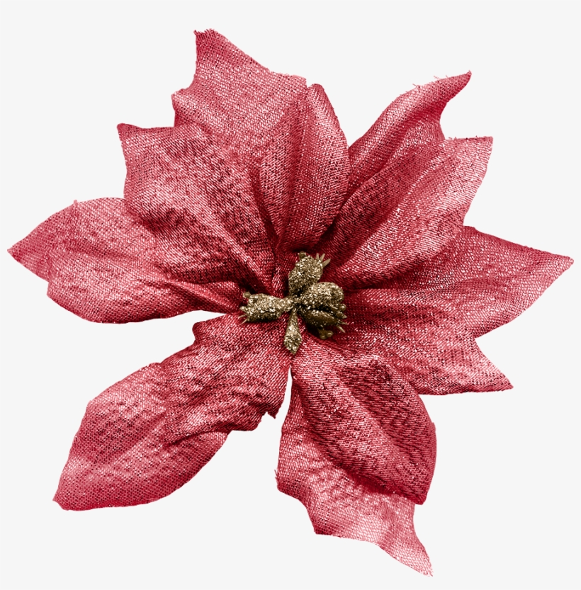 B *✿*holly Jolly Christmas - Poinsettia, transparent png download
