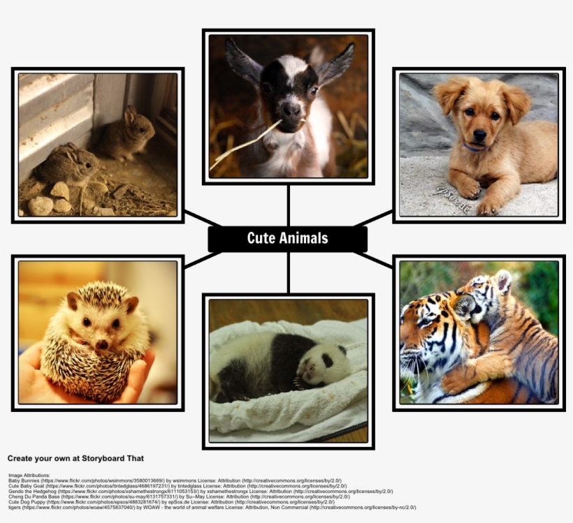 The Cute Animal Spider Chart - Hedge Hogs - Curious Kids Press By Curious Kids Press, transparent png download