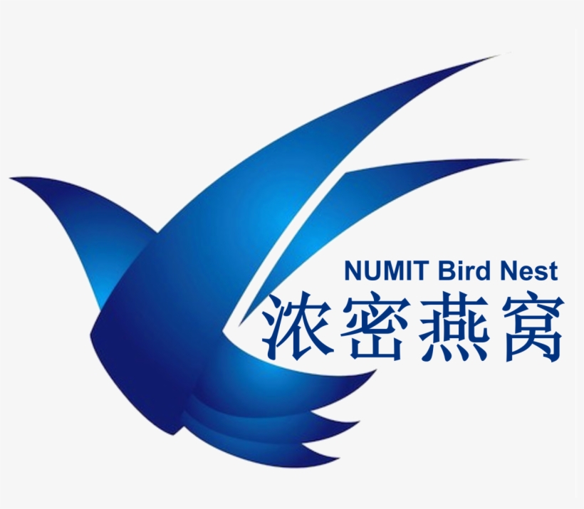 Numit Group - Bird Nest Logo Design, transparent png download