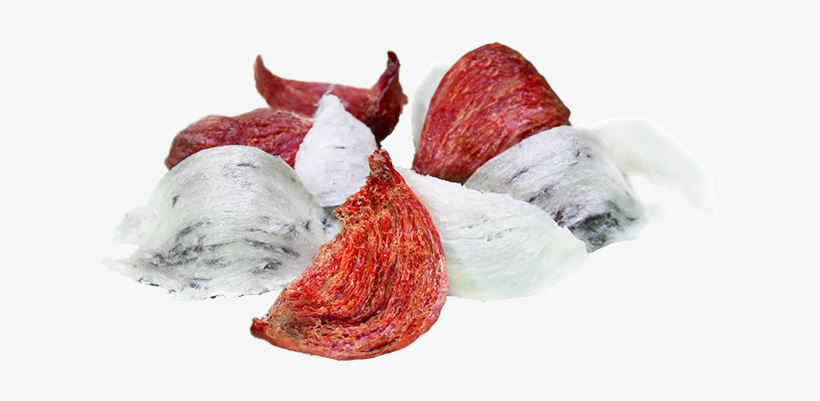 Genuine Bird Nest Are Different In Colours From Natural - สี ของ รังนก, transparent png download