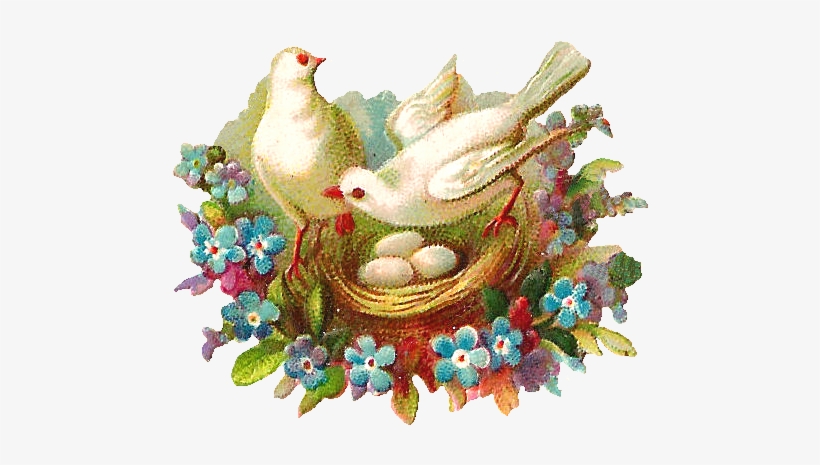 Free Digital Bird Graphic - Clip Art, transparent png download