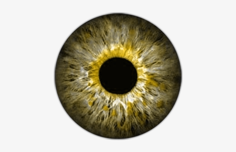 Arte Pop, Human Eye, Soft Sculpture, Blythe Dolls, - Brown Eye Lens Png, transparent png download
