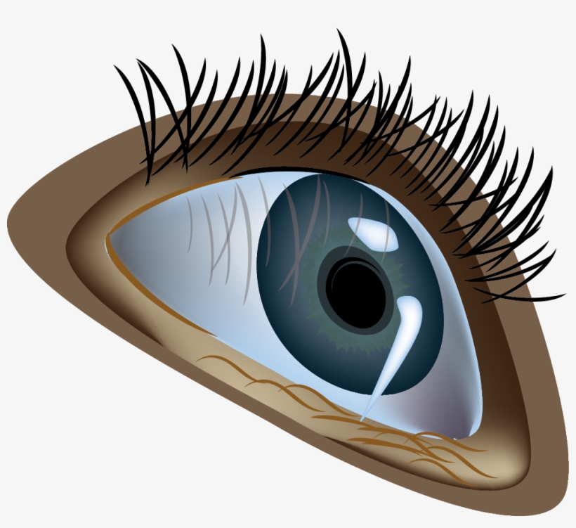Eye, transparent png download
