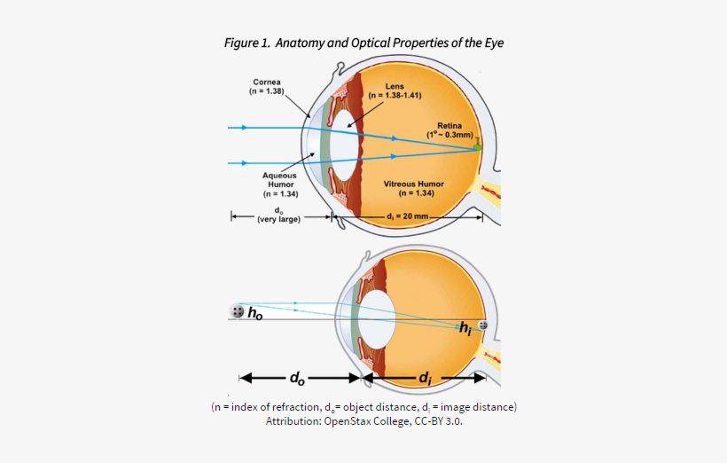 In The Laboratory, The Most Common Instrument For Image - Focal Point Eye, transparent png download