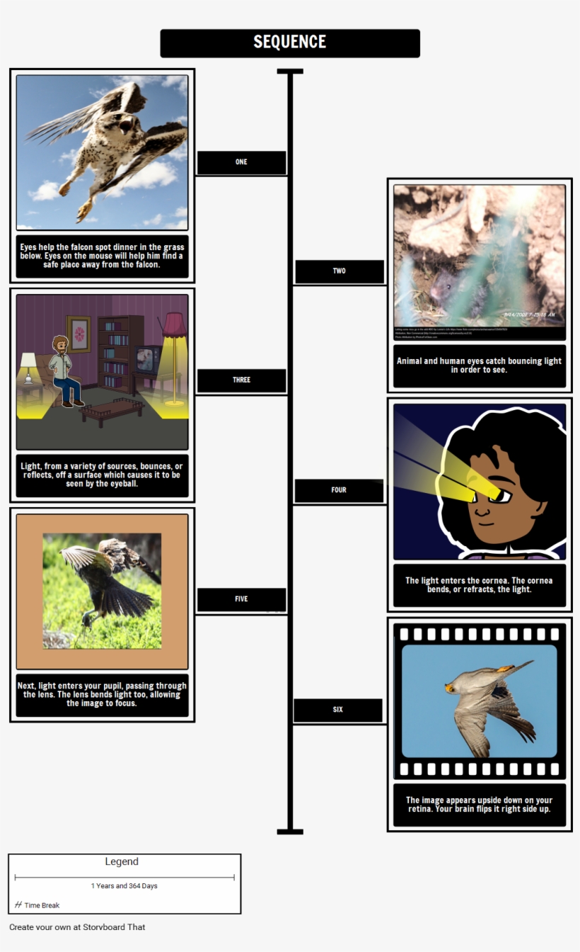 Seeing Eye To Eye - Lesson, transparent png download