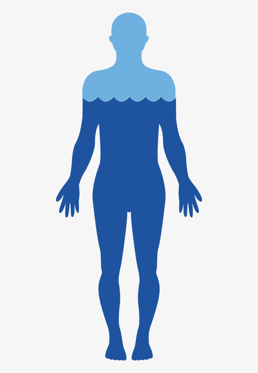 Lubricates Our Moving Parts - Water In The Body Png, transparent png download