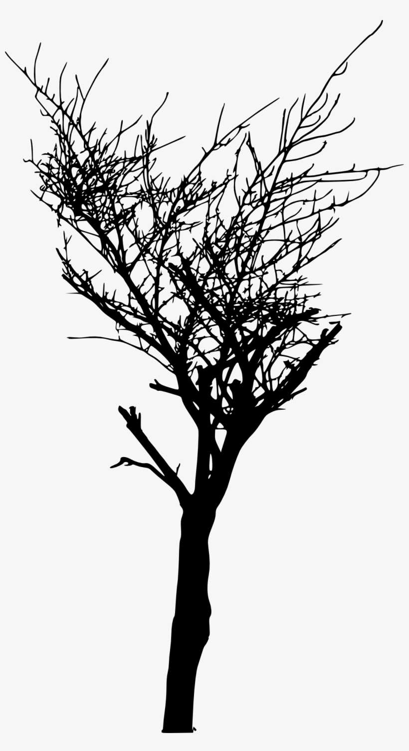 Bare Tree Branch Png - Portable Network Graphics, transparent png download
