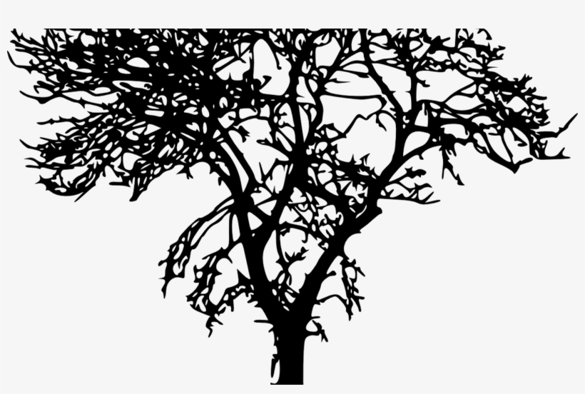 18 Bare Tree Silhouette Vol 2 Onlygfxcom - Transparent Tree Silhouette, transparent png download
