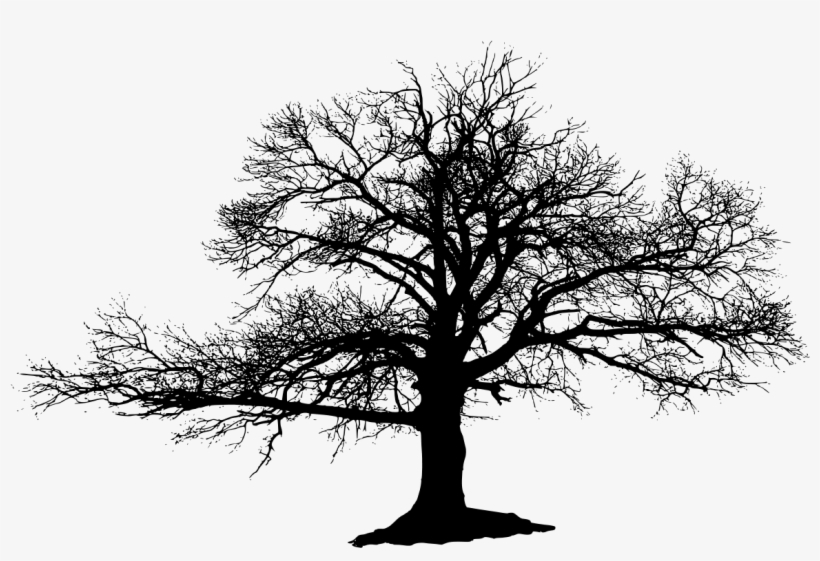 Download Big Tree Svg File - HD Transparent PNG - NicePNG.com