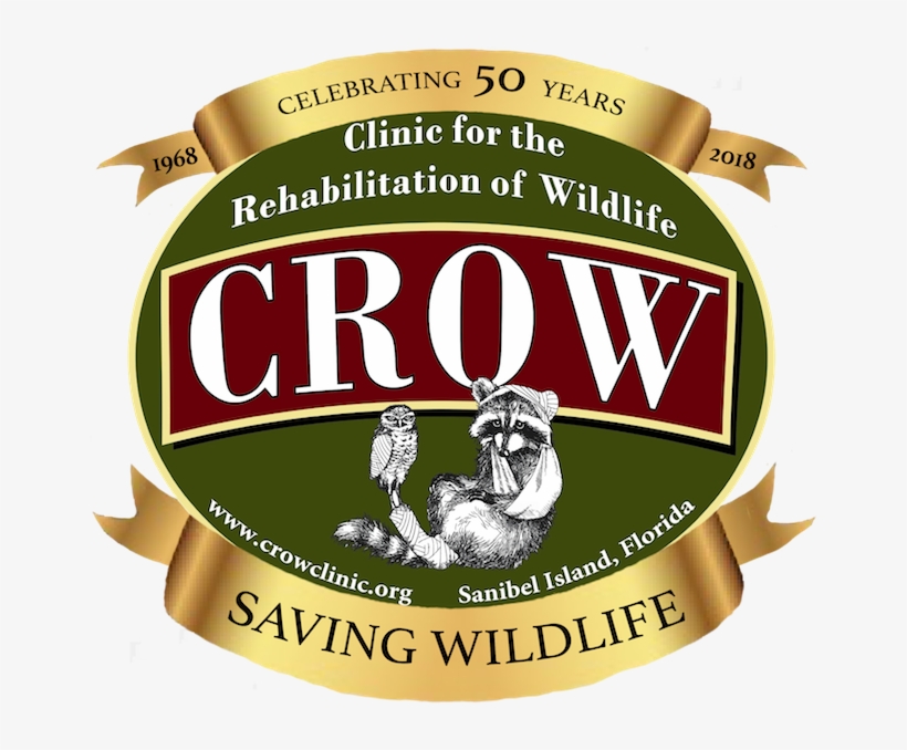 Crow 50th Anniversary - Boar, transparent png download