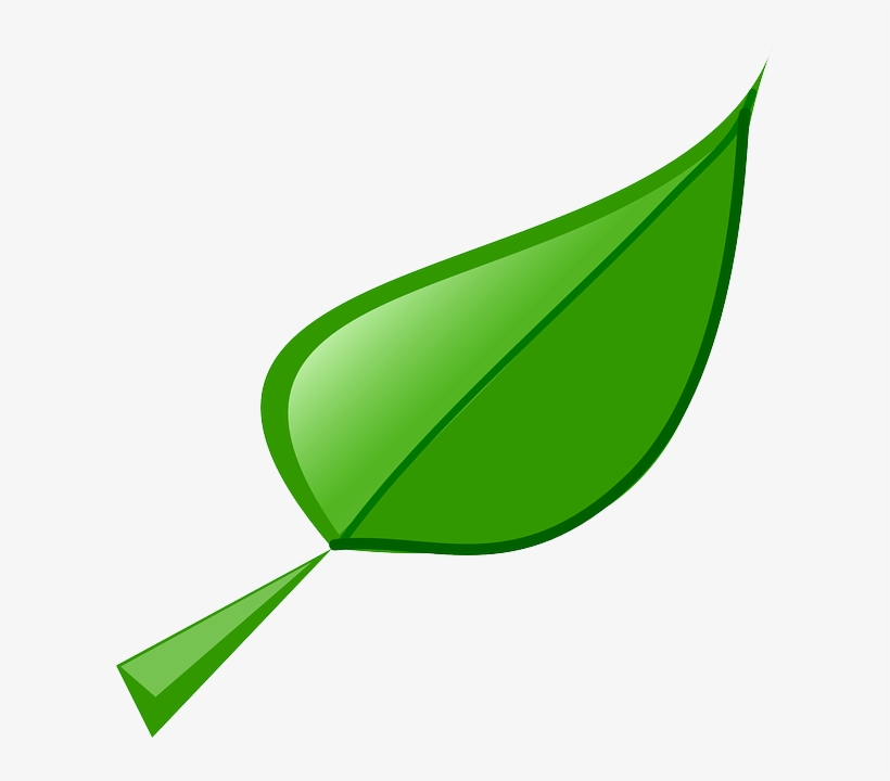 Leaf 2 Clip Art At Clkercom Vector Clip Art Online - Leaf Clip Art, transparent png download