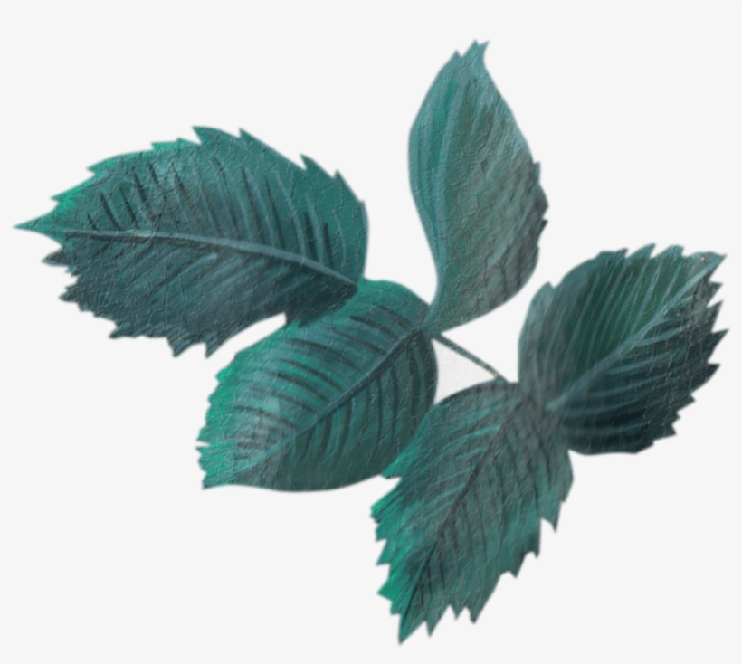 Dustcloud Studio - Vintage Leaf Transparent, transparent png download