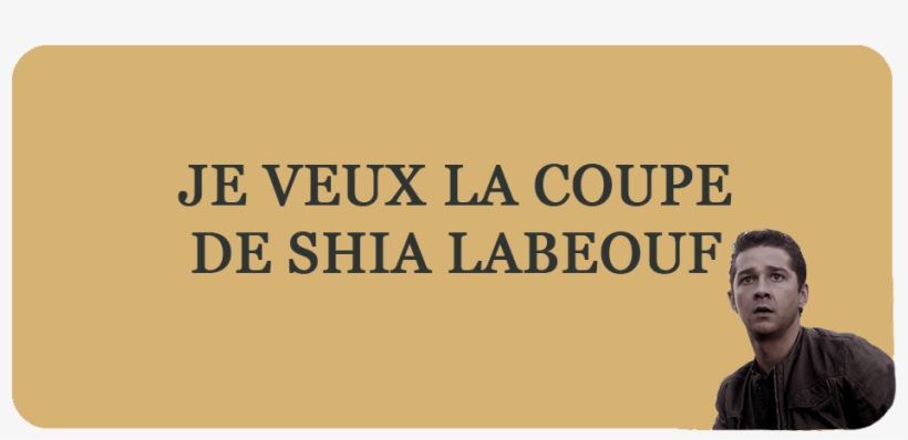 Coupe De Cheveux Shia Labeouf - Rede De Bibliotecas Escolares, transparent png download