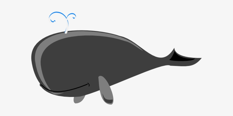 How To Set Use Whale Grey Big Clipart, transparent png download