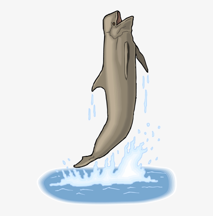 Breaching Whale - Whale Breaching Clipart, transparent png download
