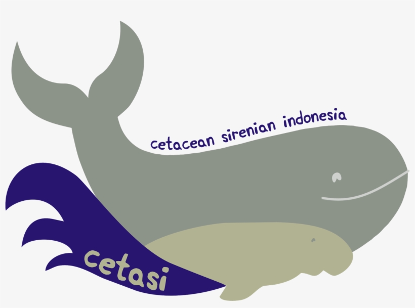 Sperm Whale Clipart Whale Harpoon, transparent png download