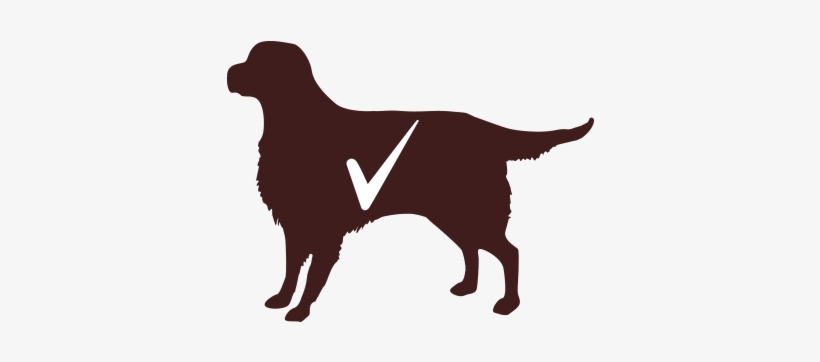 Search For - - Dog, transparent png download