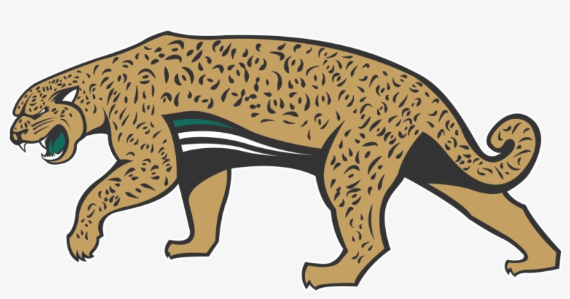 Fullbodyalt - Siberian Tiger, transparent png download