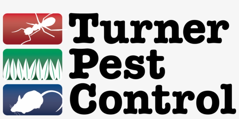 Jaguars Foundation Give And Go - Press Box Tile Coaster, transparent png download