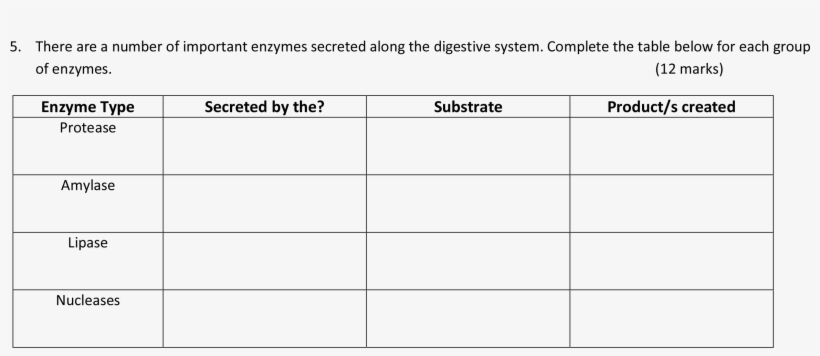 Show The Solutions - Suck Yo!, transparent png download