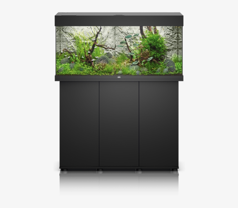 Rio Line - Juwel Aquaria, transparent png download