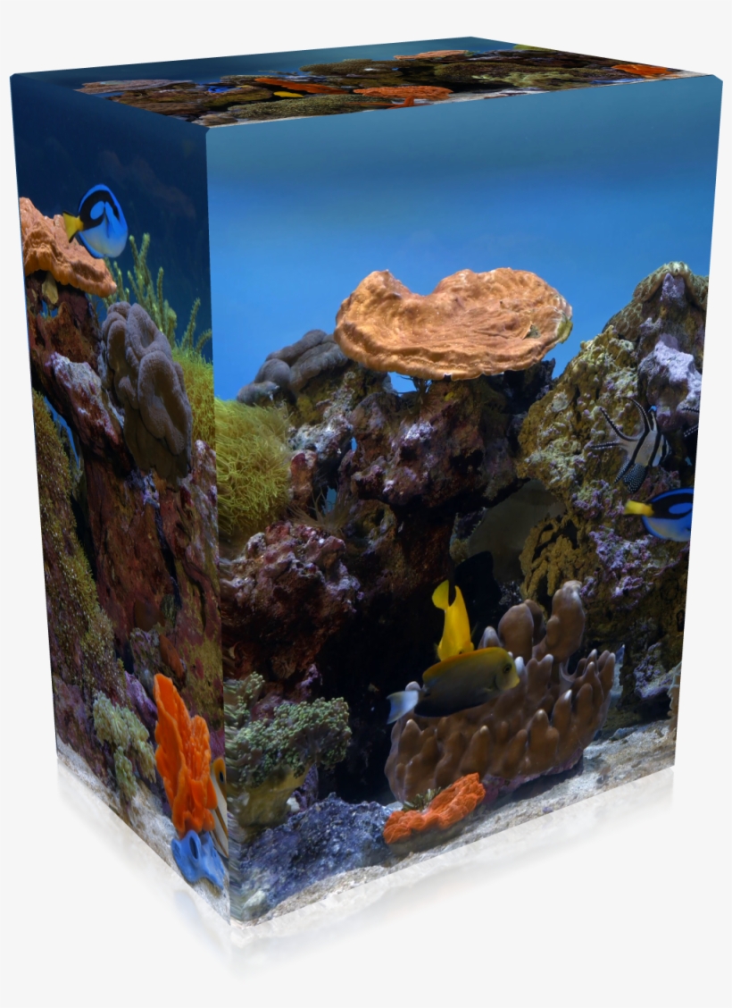 Previous Image Next Image - Aquarium, transparent png download
