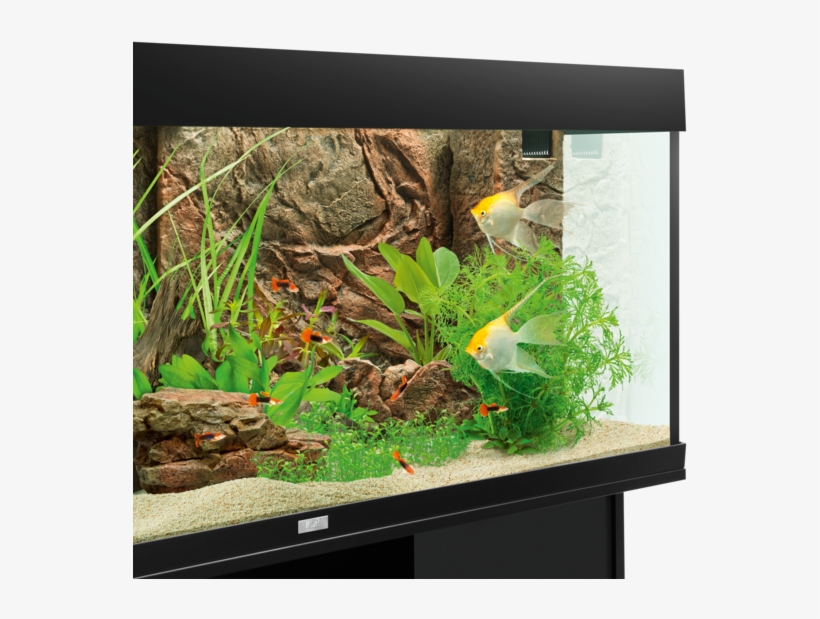 01 Details - Juwel Terrace Cliff Dark, transparent png download