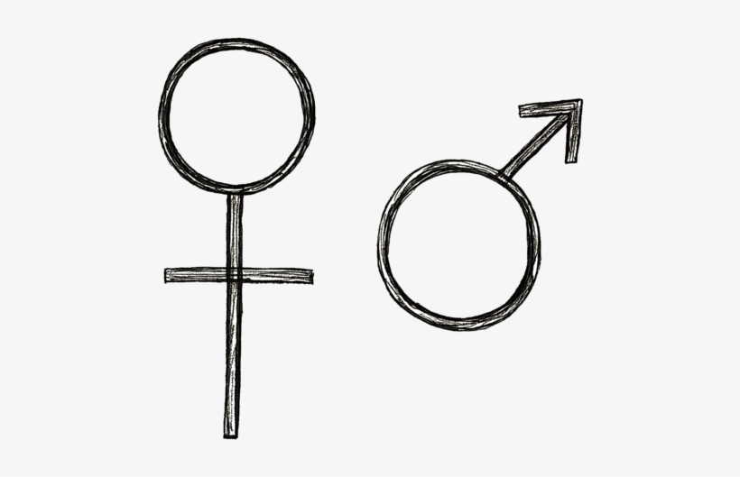 Female Male Symbols - Circle, transparent png download