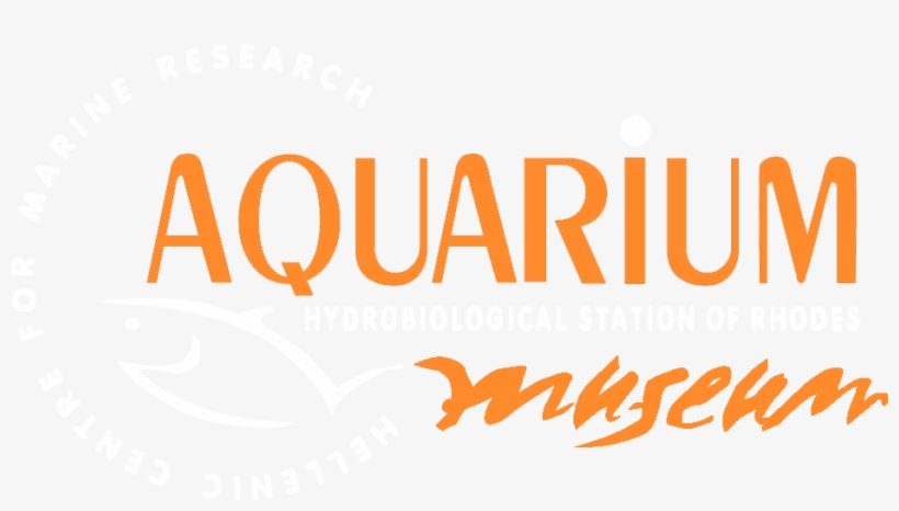 Rhodes-aquarium - Graphics, transparent png download