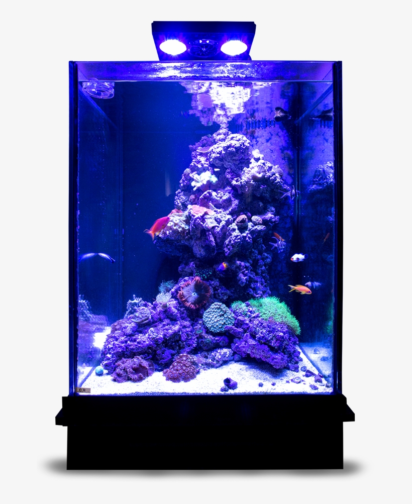Layer - Aquarium Lighting, transparent png download